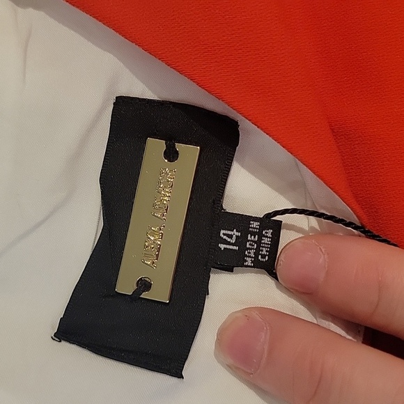 NWT- Alexia Admor Colorblock Dress - Picture 3 of 4